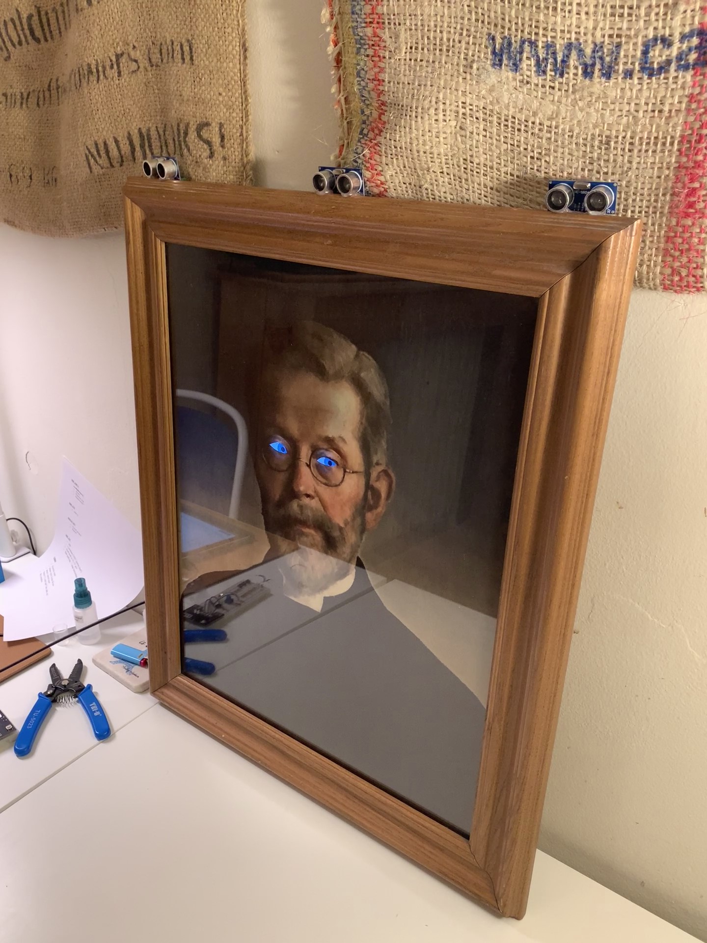 Eye-Tracking Portrait
